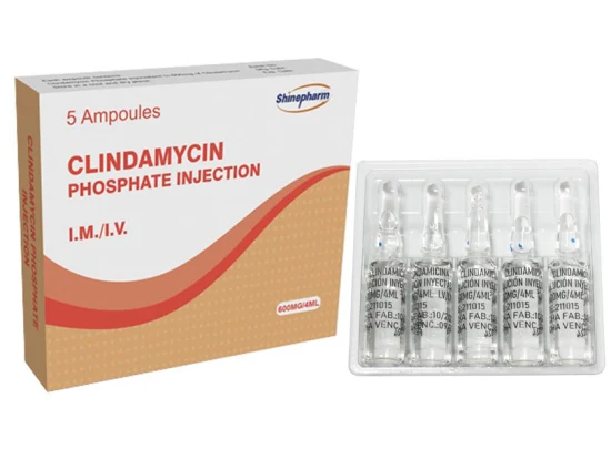 Clindamycinphosphat-Injektion 600 mg/4 ml mit GMP-OEM